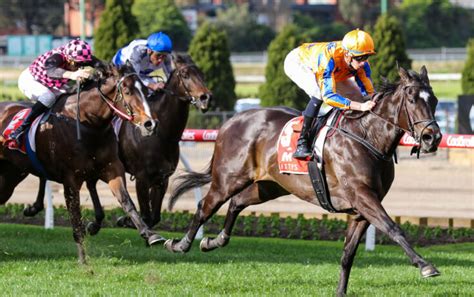 manikato stakes betting odds|2023 Manikato Stakes I Odds, Betting & Tips I Ladbrokes.